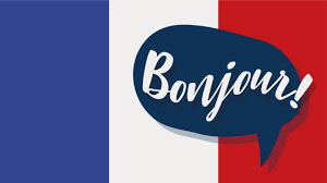 French Flag with Bonjour text bubble